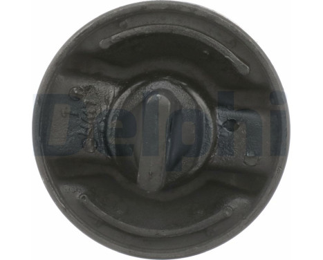 Control Arm-/Trailing Arm Bush TD263W Delphi, Image 7