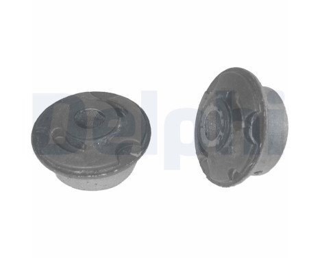 Control Arm-/Trailing Arm Bush TD280W Delphi