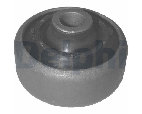Control Arm-/Trailing Arm Bush TD281W Delphi