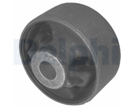 Control Arm-/Trailing Arm Bush TD285W Delphi