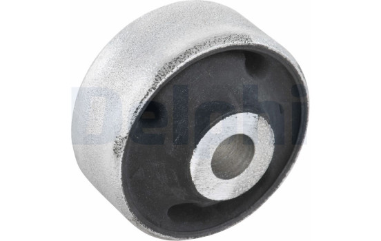 Control Arm-/Trailing Arm Bush TD287W Delphi