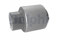 Control Arm-/Trailing Arm Bush TD298W Delphi