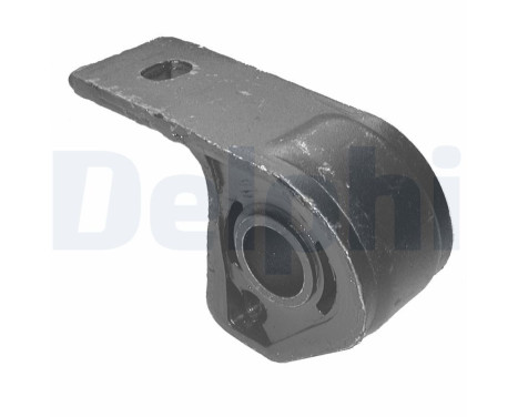Control Arm-/Trailing Arm Bush TD301W Delphi