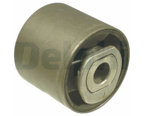 Control Arm-/Trailing Arm Bush TD310W Delphi