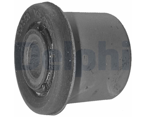 Control Arm-/Trailing Arm Bush TD317W Delphi