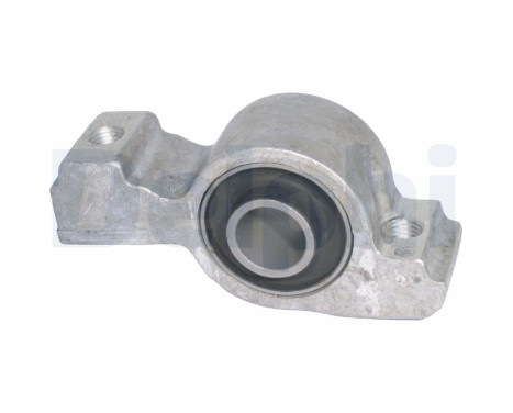Control Arm-/Trailing Arm Bush TD318W Delphi