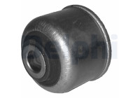 Control Arm-/Trailing Arm Bush TD320W Delphi