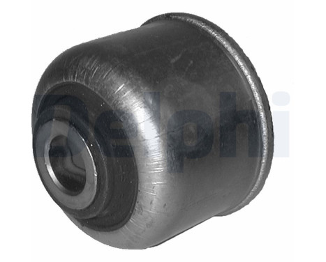 Control Arm-/Trailing Arm Bush TD320W Delphi