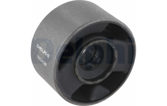 Control Arm-/Trailing Arm Bush TD343W Delphi