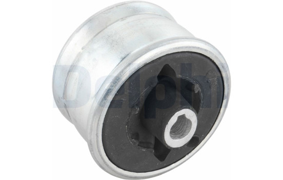 Control Arm-/Trailing Arm Bush TD349W Delphi