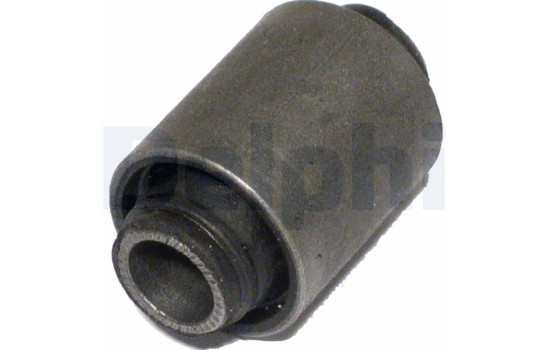 Control Arm-/Trailing Arm Bush TD351W Delphi