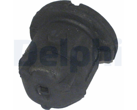 Control Arm-/Trailing Arm Bush TD352W Delphi