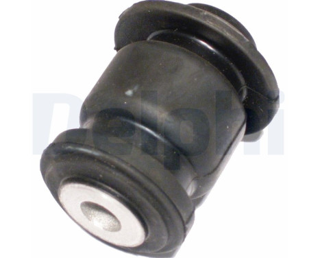Control Arm-/Trailing Arm Bush TD365W Delphi