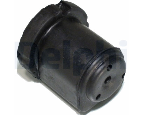 Control Arm-/Trailing Arm Bush TD368W Delphi