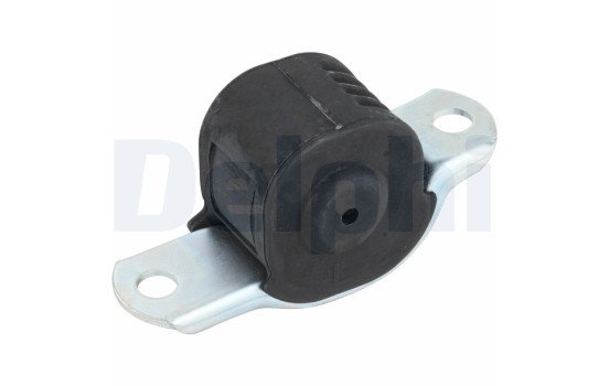 Control Arm-/Trailing Arm Bush TD388W Delphi