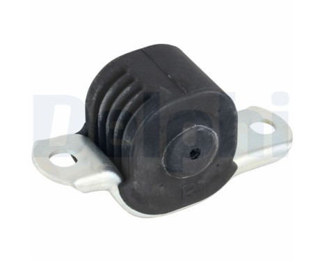 Control Arm-/Trailing Arm Bush TD389W Delphi