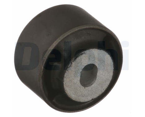 Control Arm-/Trailing Arm Bush TD4017W Delphi