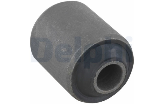 Control Arm-/Trailing Arm Bush TD401W Delphi