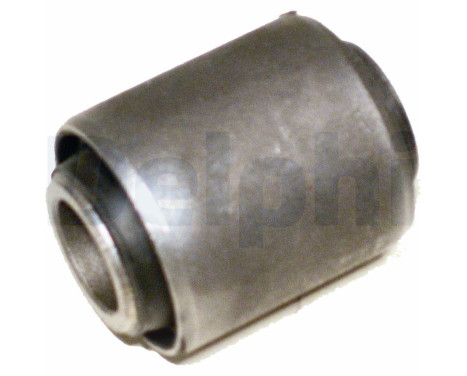 Control Arm-/Trailing Arm Bush TD403W Delphi
