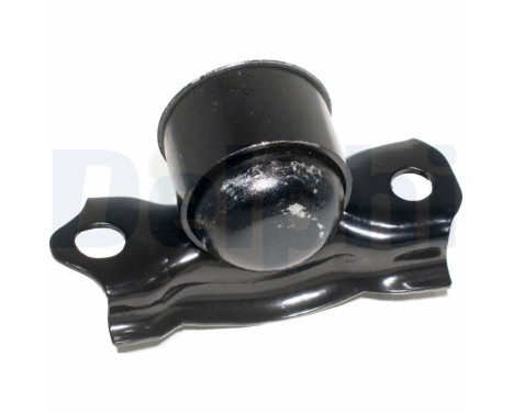 Control Arm-/Trailing Arm Bush TD405W Delphi