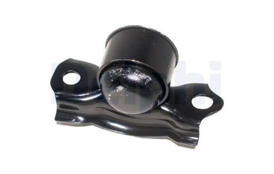 Control Arm-/Trailing Arm Bush TD406W Delphi