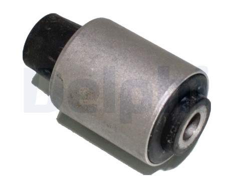 Control Arm-/Trailing Arm Bush TD415W Delphi