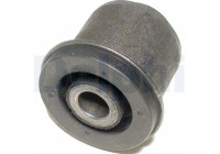 Control Arm-/Trailing Arm Bush TD431W Delphi