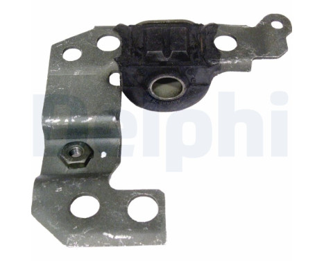 Control Arm-/Trailing Arm Bush TD433W Delphi