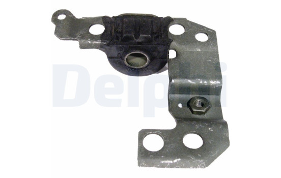 Control Arm-/Trailing Arm Bush TD434W Delphi