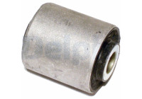 Control Arm-/Trailing Arm Bush TD441W Delphi