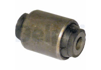 Control Arm-/Trailing Arm Bush TD496W Delphi