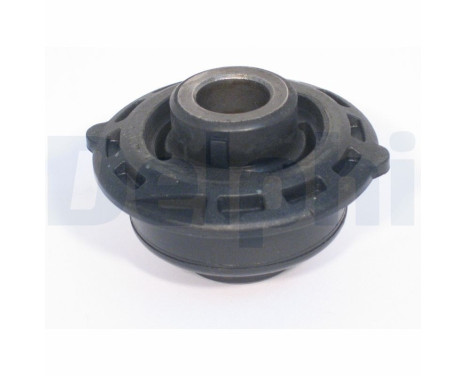 Control Arm-/Trailing Arm Bush TD503W Delphi