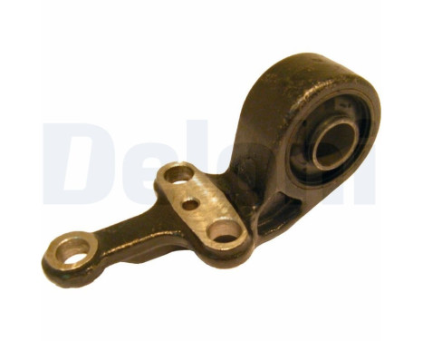 Control Arm-/Trailing Arm Bush TD510W Delphi