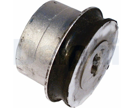 Control Arm-/Trailing Arm Bush TD527W Delphi
