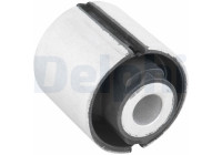 Control Arm-/Trailing Arm Bush TD531W Delphi