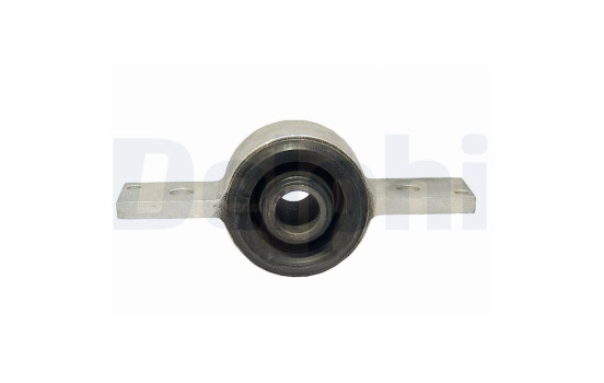 Control Arm-/Trailing Arm Bush TD557W Delphi