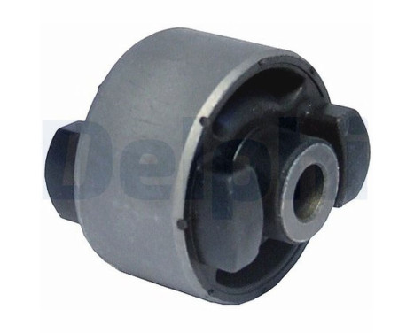 Control Arm-/Trailing Arm Bush TD570W Delphi