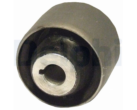 Control Arm-/Trailing Arm Bush TD606W Delphi