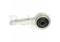 Control Arm-/Trailing Arm Bush TD650W Delphi