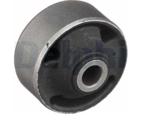 Control Arm-/Trailing Arm Bush TD673W Delphi