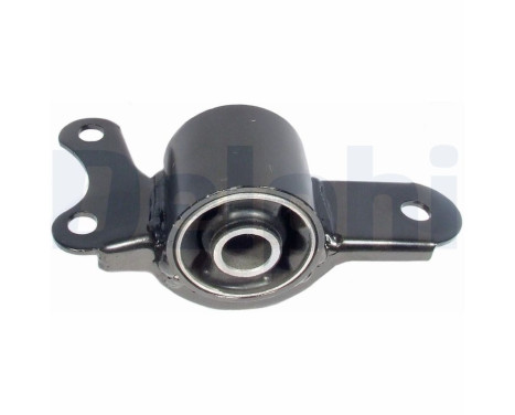 Control Arm-/Trailing Arm Bush TD674W Delphi