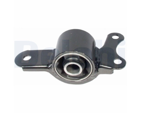 Control Arm-/Trailing Arm Bush TD675W Delphi