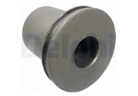 Control Arm-/Trailing Arm Bush TD697W Delphi