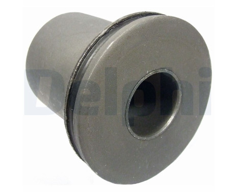Control Arm-/Trailing Arm Bush TD697W Delphi