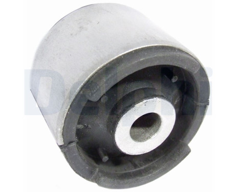 Control Arm-/Trailing Arm Bush TD736W Delphi