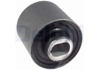 Control Arm-/Trailing Arm Bush TD758W Delphi