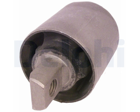 Control Arm-/Trailing Arm Bush TD787W Delphi