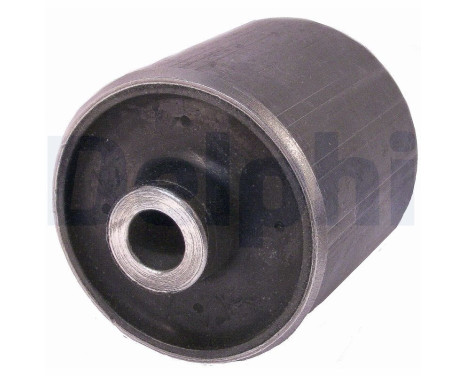 Control Arm-/Trailing Arm Bush TD789W Delphi