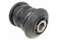 Control Arm-/Trailing Arm Bush TD856W Delphi