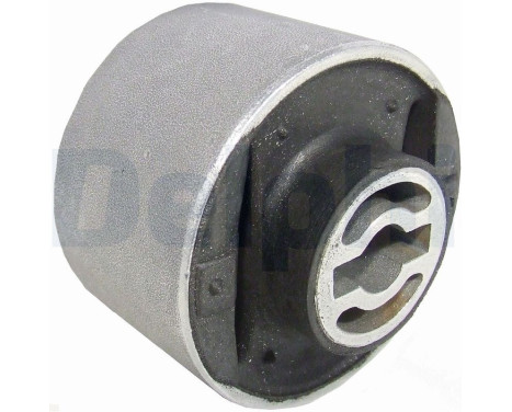 Control Arm-/Trailing Arm Bush TD857W Delphi